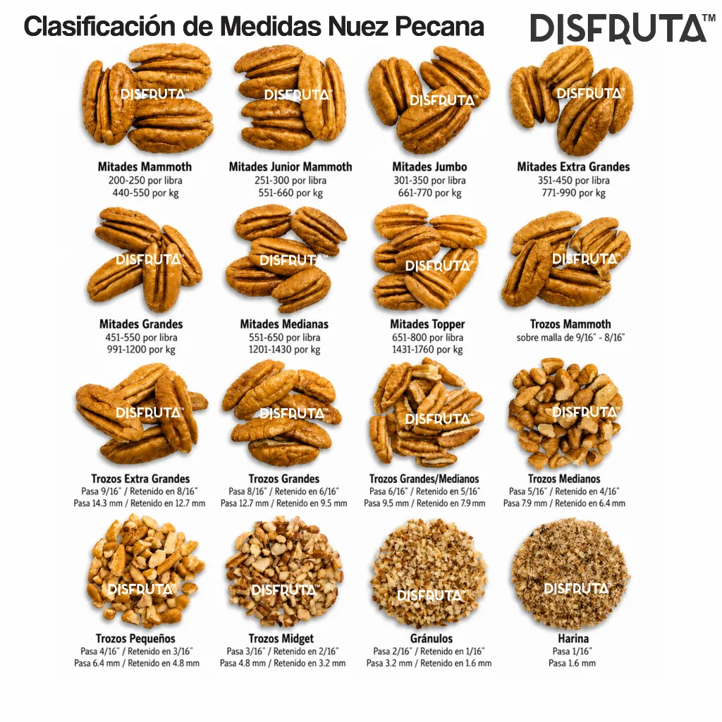 Clasificación Tamaño Nuez Pecana SC Disfruta™.webp