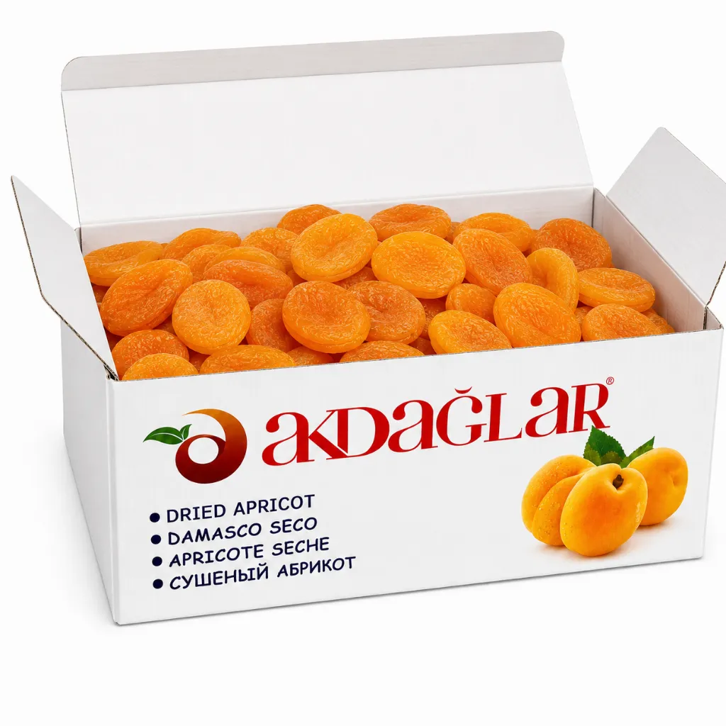 ChatGPT Image 6 jun 2026, 11_04_41.webp