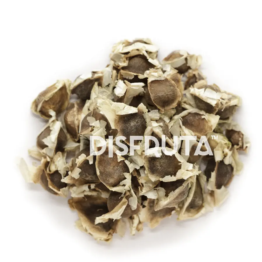 Semilla de Moringa 1.webp