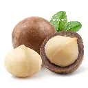 Macadamia Nut ISO.webp
