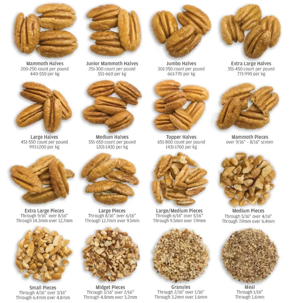 Pecan Size Chart.webp