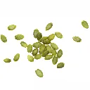 Semilla de Calabaza Pumkin Kernel ISO 2.webp