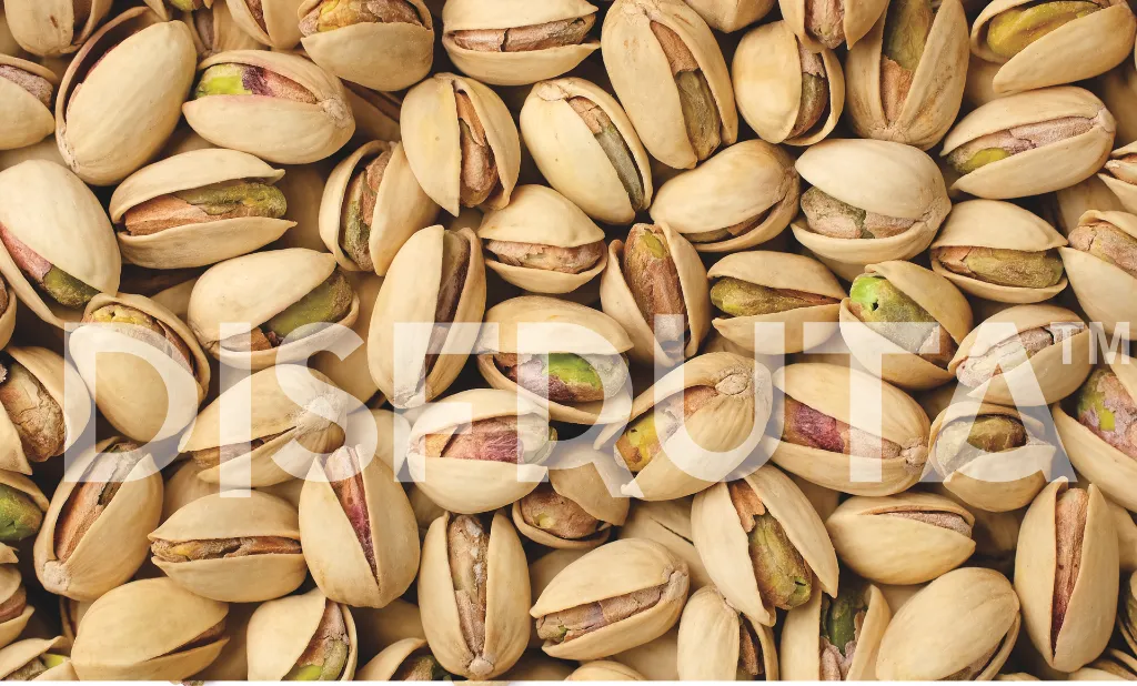 Pistache Entero GRL 2.webp