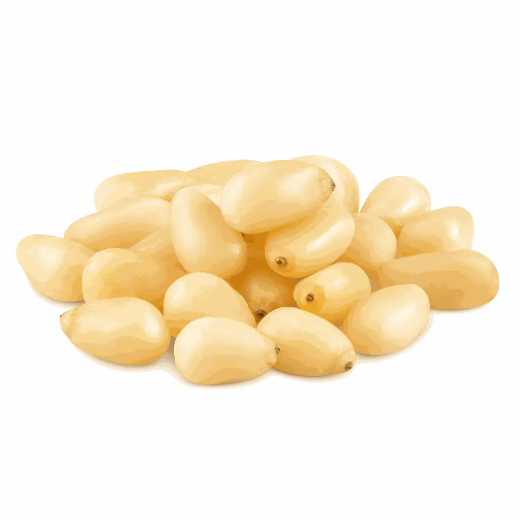 White Pinenuts 1.webp