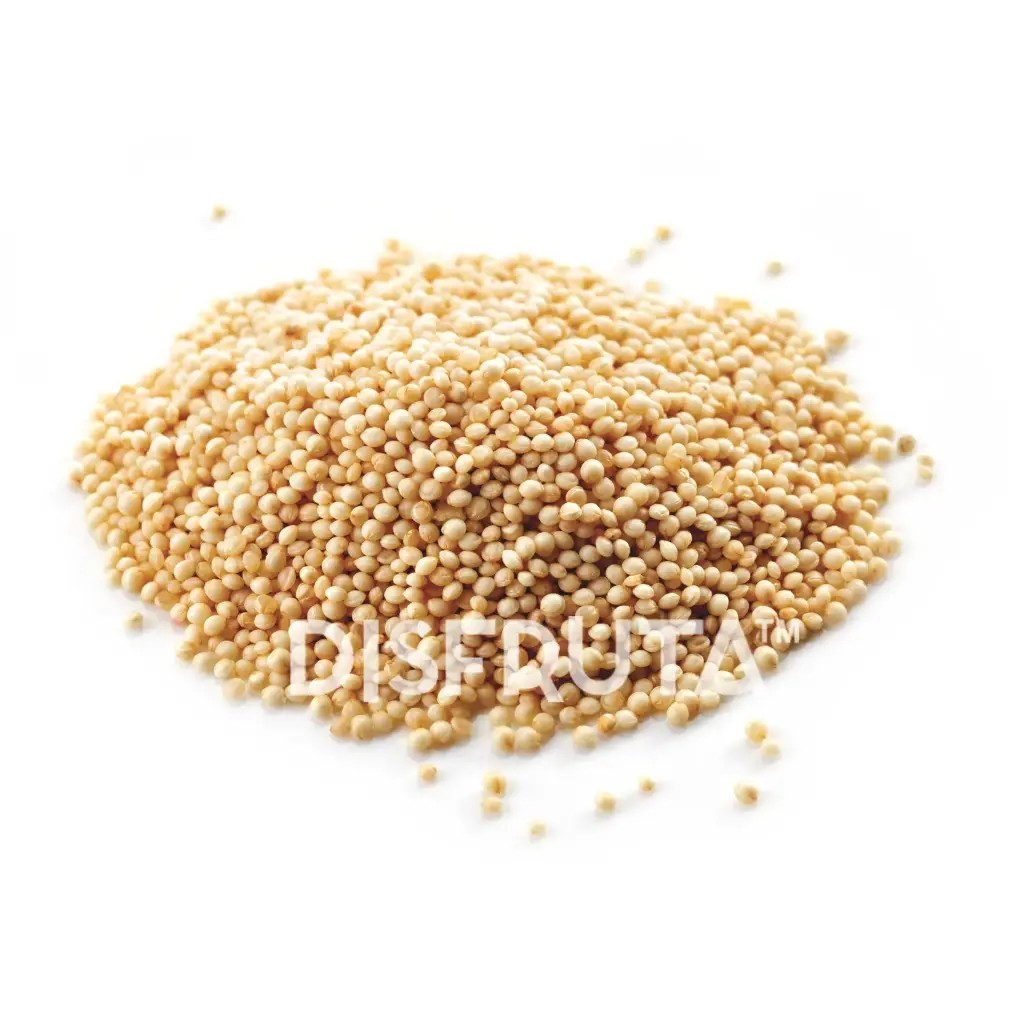 Natural White Amaranth | Jalisco | GRL                                                            