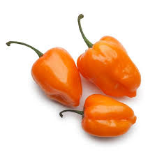 Chile Habanero | Ámbar |  Nayarit                                                                               