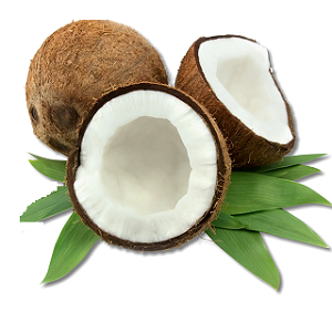 Coco De Agua | Sin Exocarpio | Guerrero                                                                            