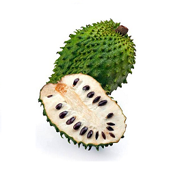 Guanábana Graviola  |  Nayarit | GRL                                                                               