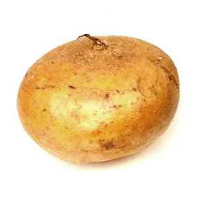 Jícama | Nayarit  | GRL