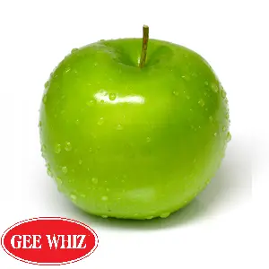 Manzana Granny Smith | Independence ®  |100'S | Washington                                                                               
