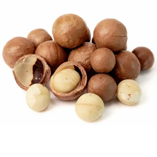 Whole Macadamin Nuts | with Pericarp |  Michoacan | BLK