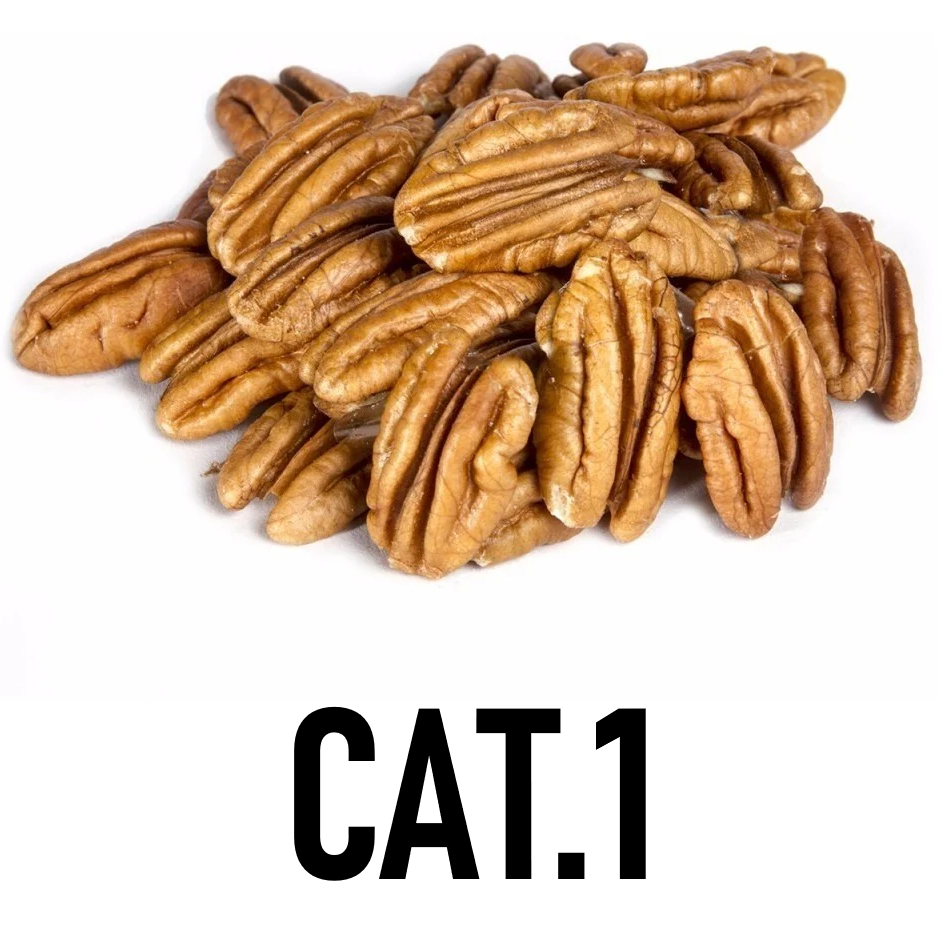 Nuez Pecana Western Shley | Corazones | CAT.1 | Chihuahua | GRL                                                                               