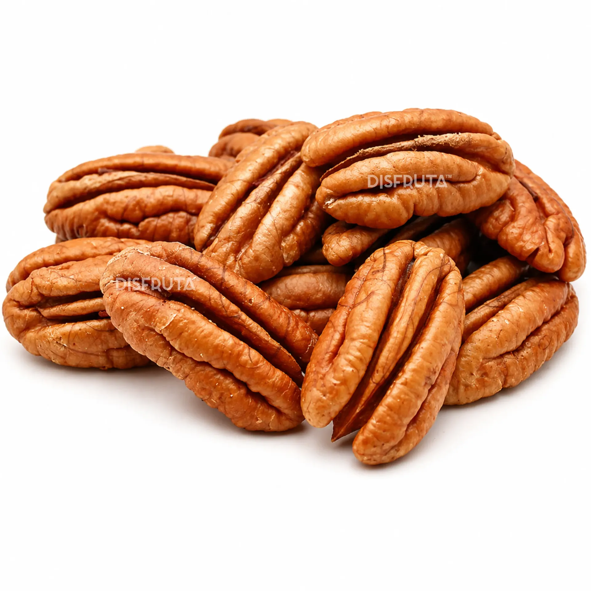 Pecan Nuts Western Shley | Halves | CAT.1 | Chihuahua | BLK                                                                  