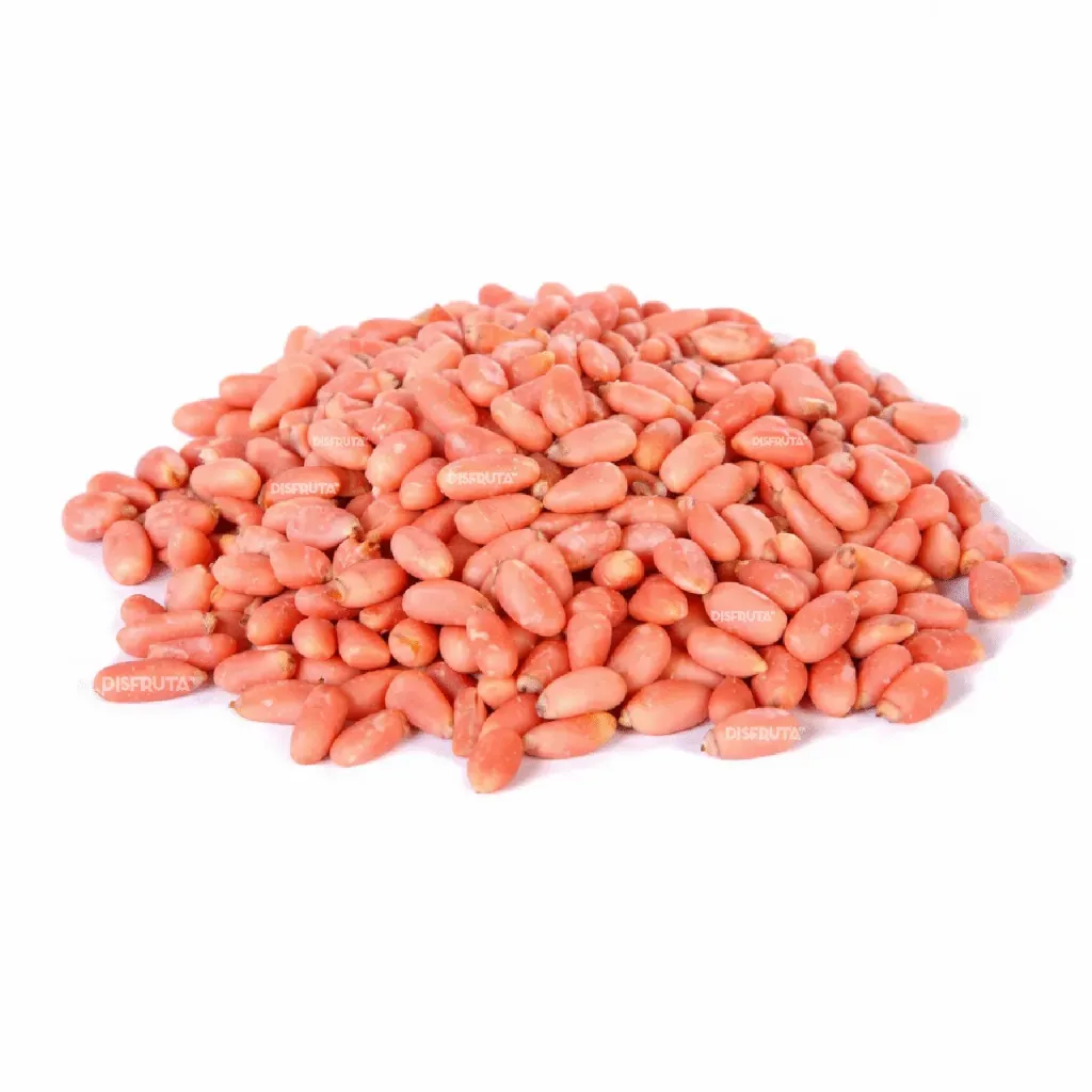 Pink Pine Nut (Pinus spp.) — Shelled Seed | Origin: Querétaro | BLK      