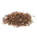 Semilla de Cardamomo | Guatemala | GRL