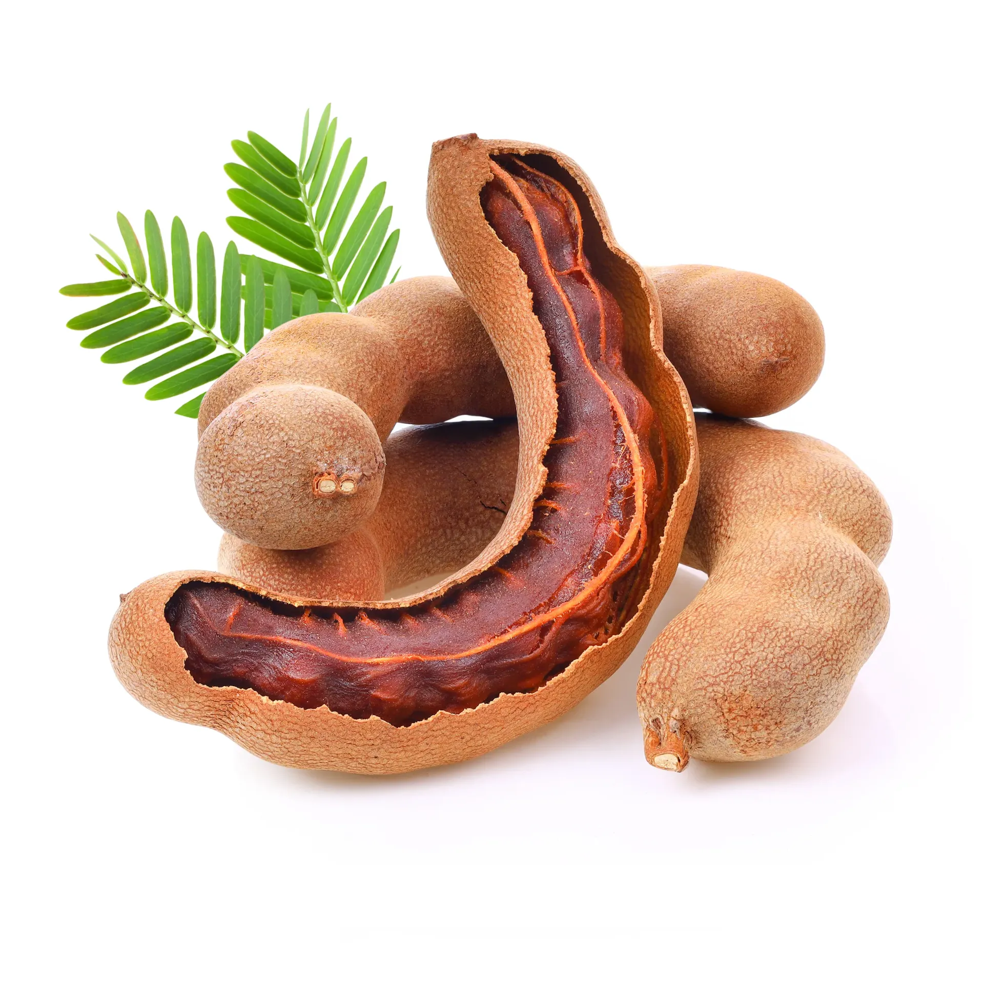 Tamarindo Selecto | Var. Colima 204  | Jalisco | GRL                                                                              