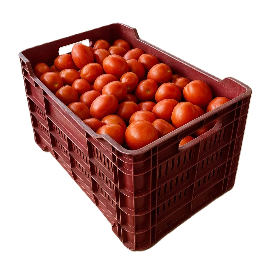 Tomatoe Var. Saladet | P. Greenhouse | Guanajuato | PLS-CRT ±66LBS                                                                         