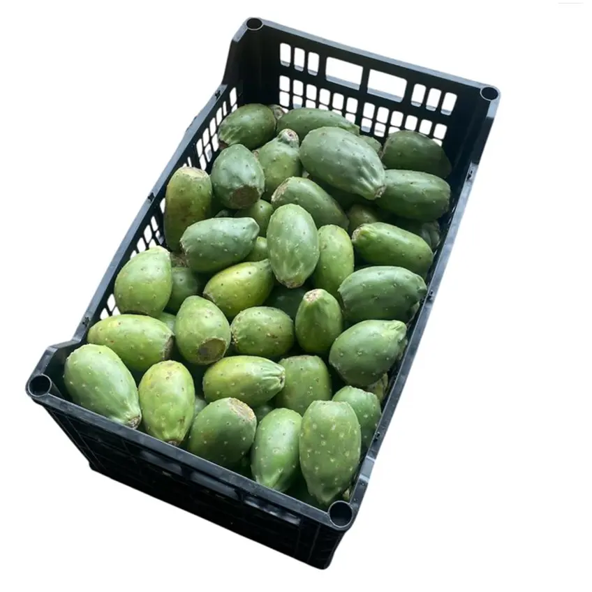 Tuna Verde Cristalina | Zacatecas | C-PLS ± 22KG                                                                               