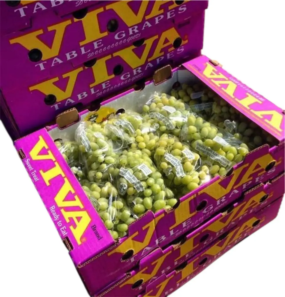 Uva Verde | Viva® | Sonora | C-CTN ±8.2KG                                                                             