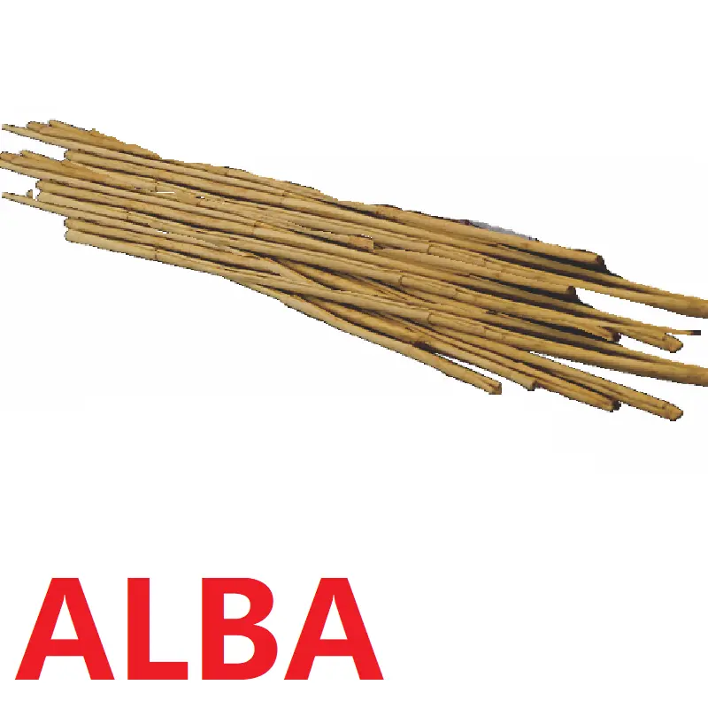 Canela Ceilán | CAT. Alba  #21" | New Lanka® | Sri Lanka | GRL