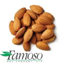 Almendra Nonpareil | Famoso Nuts® | EXTRA #1 23/25 | California | GRL                                                                                