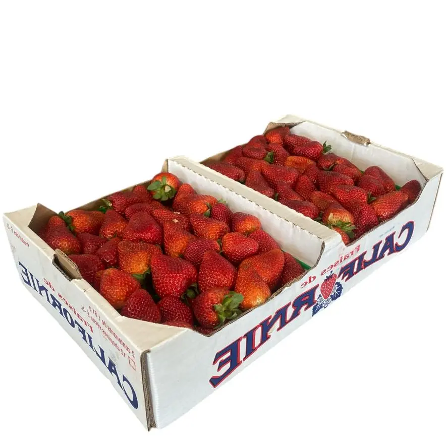 Strawberry | Californie® | Baja California | CTN-BOX ±11.90lb-5.4Kg                                                                              
