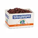 Uva Deshidratada Crimson | #Jumbo CAT.1 | Sahuaripa® | | C-CTN ±10KG                                                                          