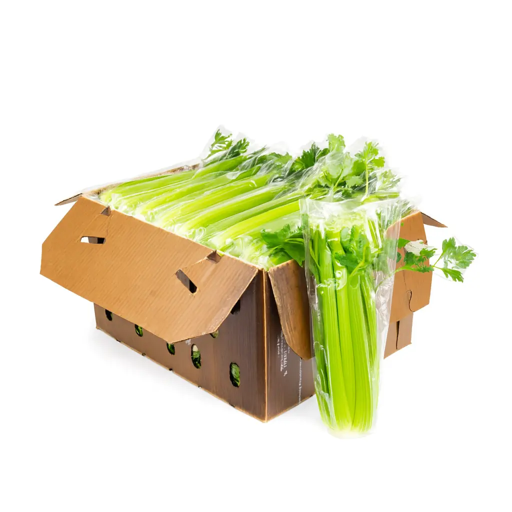 Apio Entero | S/H | Generic | Guanajuato | C-CTN #24's  