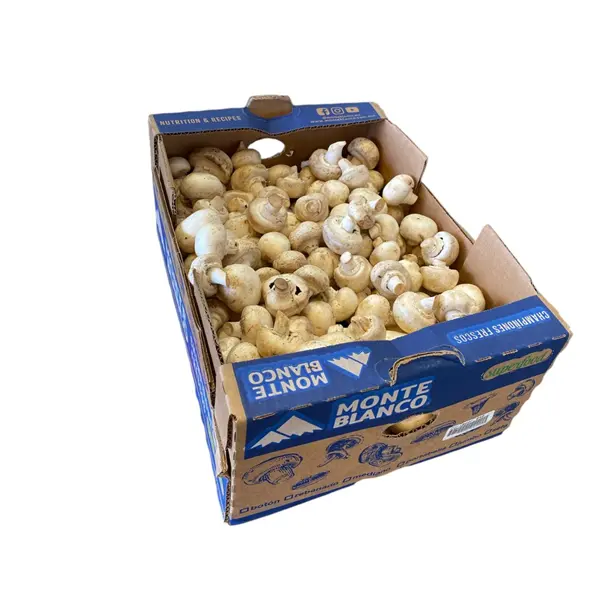 Hongo Champiñón | Monteblanco® | Jalisco | C-CTN ±5KG                                                                           