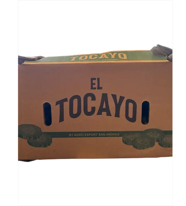 American Cucumber | Tocayo® | Sinaloa |  BX-CRB ±24Kg                                                                           