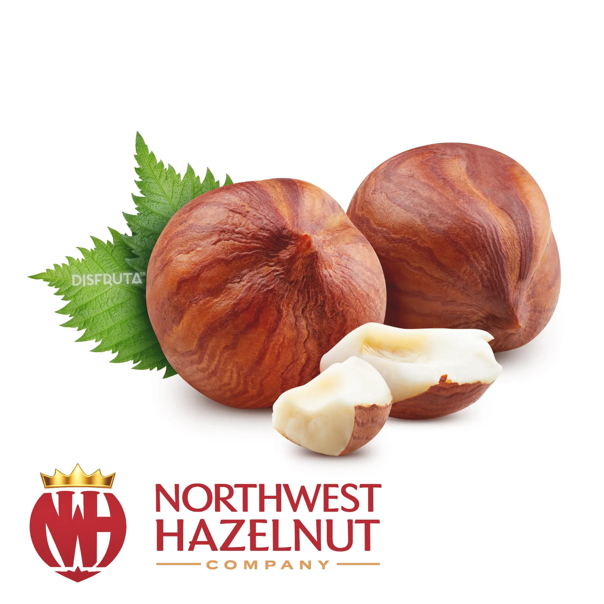 Avellana Oregón | Cal.12-14mm Grade# 2 (NMD) | Northwest Hazelnut®| E.U.A | GRL