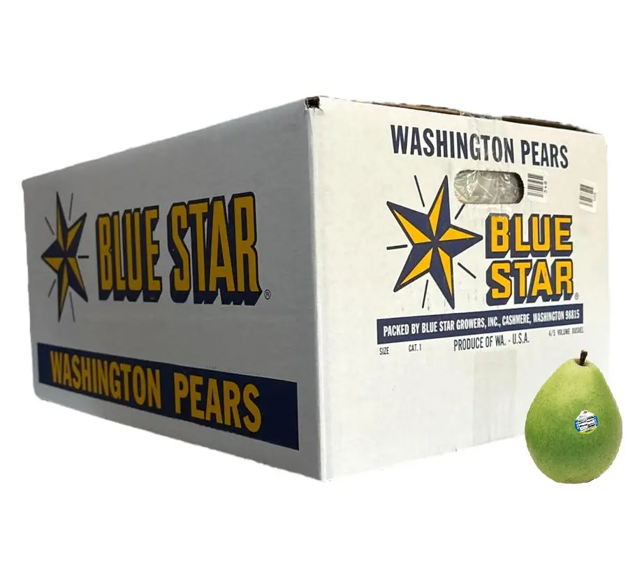 Pera D'Anjou Verde | #80's | Blue Star® | Washington | C-CTN ±20KG  