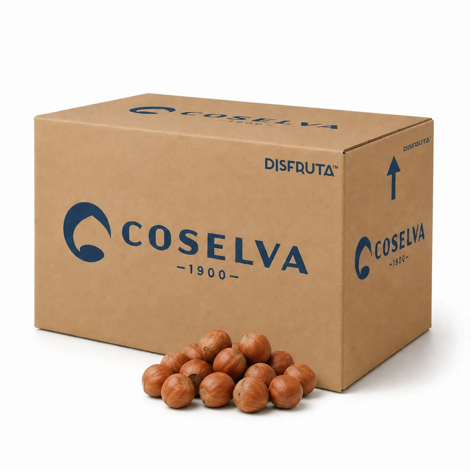 Avellana Cataluña | Con Cutícula #11-13  CAT 1 DOP Rue | Coselva ® | España  | C-CTN 10Kg