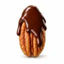 Pecan & Dark Chocolate | Non Sugar | Chihuahua |  Pack 1KG